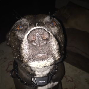 Meet your Posher, Keith